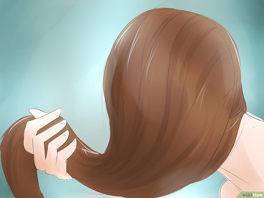 Bàn tóc trên đầu