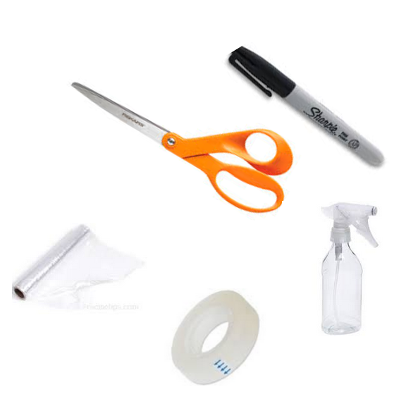 Hướng dẫn cách đo from tóc giả nam che hói 