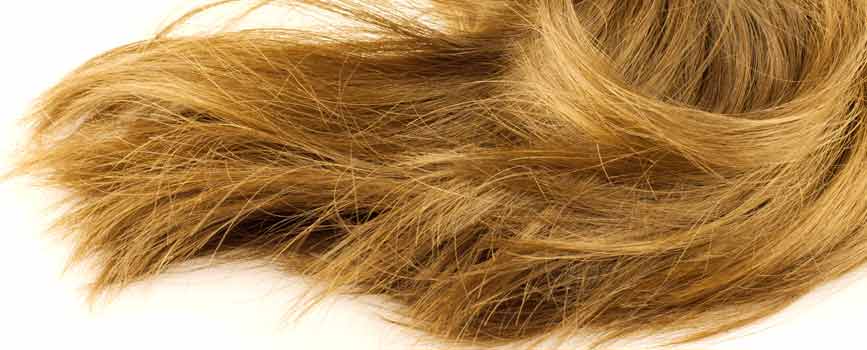  Làm thế nào để mua và đội tóc giả