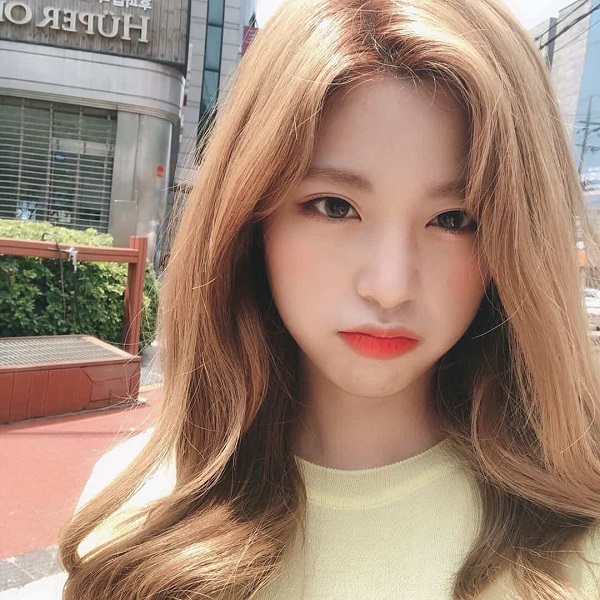 tóc màu nâu tây ánh rêu