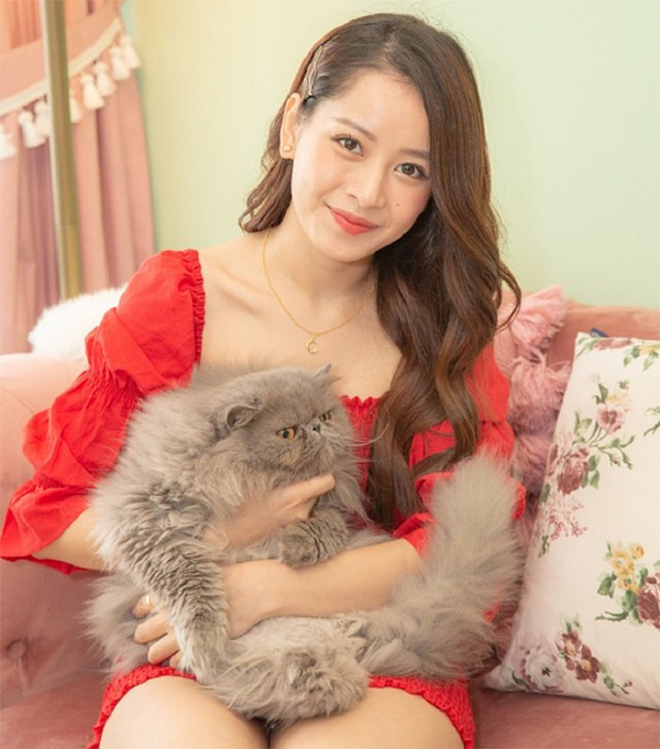 Kiểu tóc giả màu nâu hạt dẻ đậm