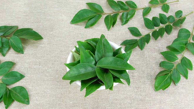 Cách sử dụng lá cà ri để mọc tóc nhanh chóng và hiệu quả