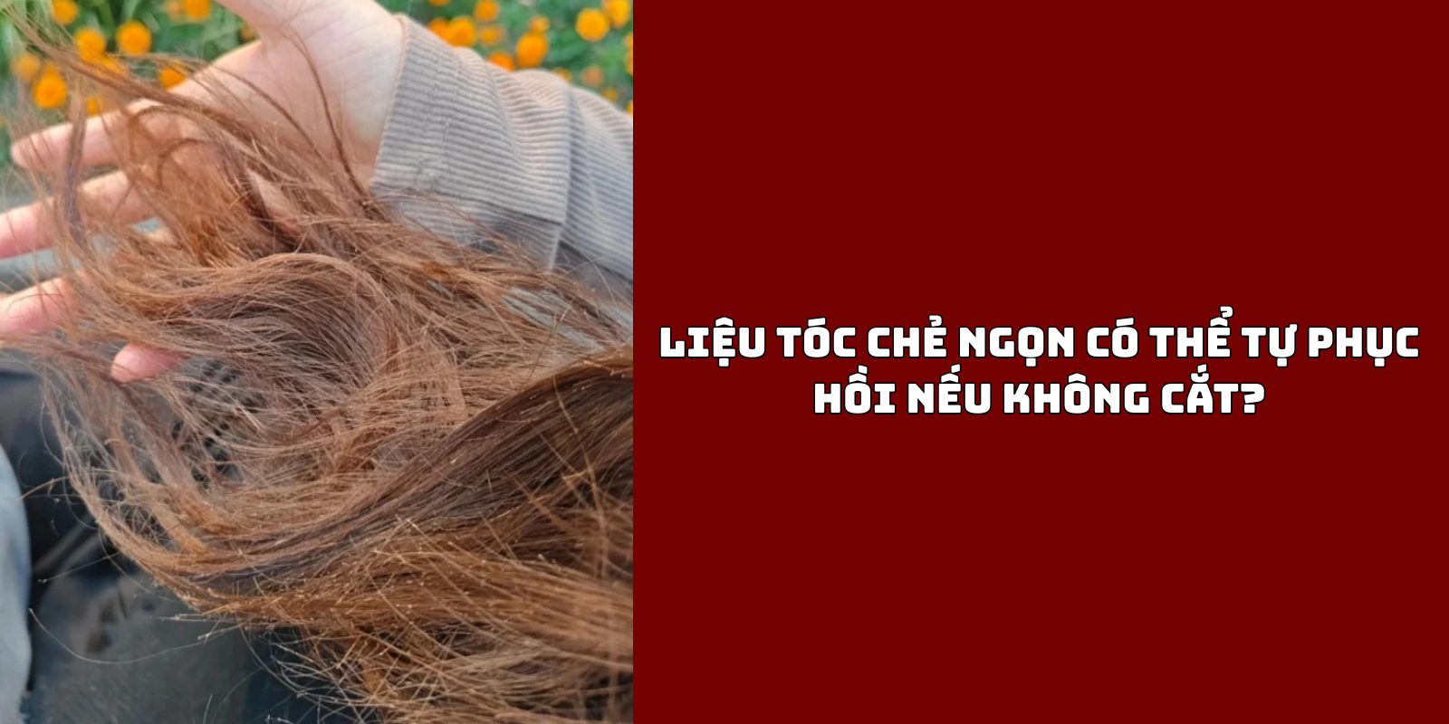 Liệu tóc chẻ ngọn có thể tự phục hồi nếu không cắt?